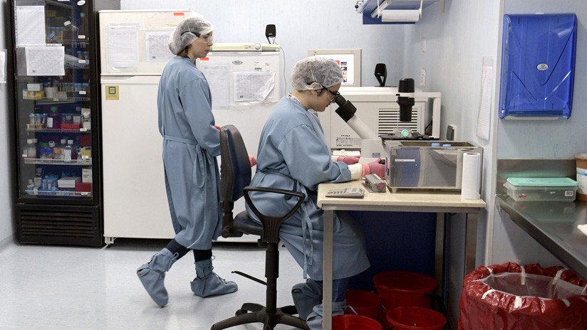 "Nada que festejar": El Día del Investigador Científico en Argentina, con recortes y más de 2.000 expertos sin trabajo 