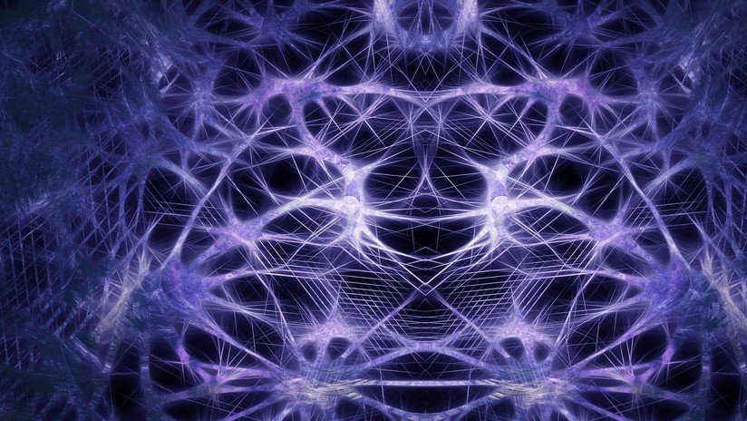 Científicos reviven por primera vez el cerebro de un animal muerto