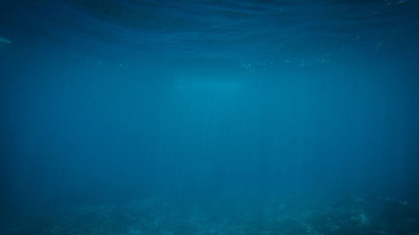 VIDEO, FOTO: Hallan en una fosa oceánica una criatura parecida a un globo con cuerda