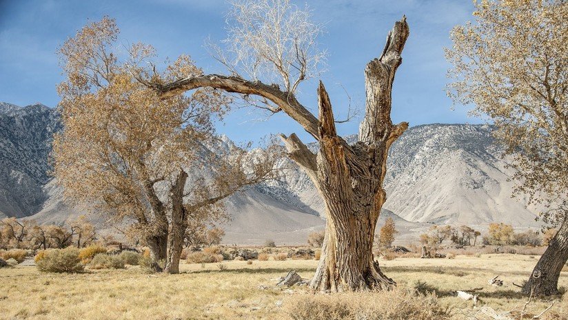 Identifican en California casi 2 millones de terremotos "ocultos" (VIDEO)