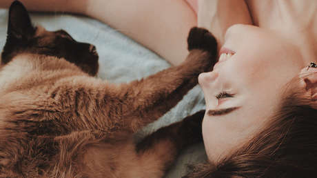 Rusia y Austria lanzarán este año la primera vacuna contra la alergia a los gatos