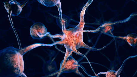 Un anestésico podría borrar los recuerdos traumáticos