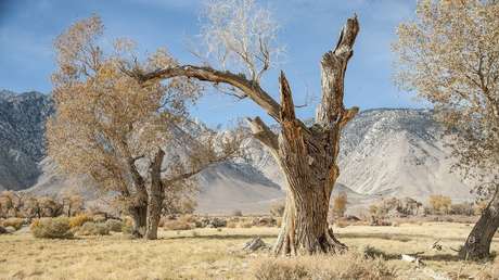 Identifican en California casi 2 millones de terremotos "ocultos" (VIDEO)