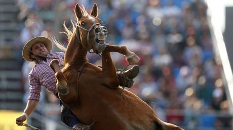 El incendio de Notre Dame, la celebración de Semana Santa y otras impresionantes imágenes que dejó la semana