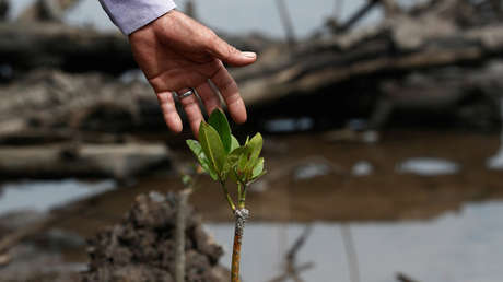 La ONU celebra el Día Internacional de la Madre Tierra con el cambio climático en el centro de la discusión