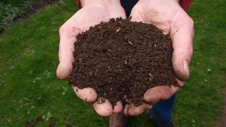 El compost humano y la cremación verde como alternativas a los entierros tradicionales, a punto de ser realidad en EE.UU.