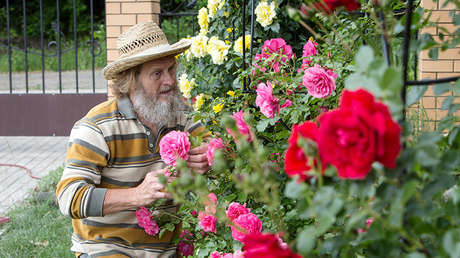 Estudio: Adultos con un olfato deteriorado corren más riesgo de morir en un plazo de 10 años