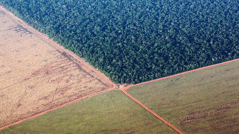 Más de 600 científicos piden a la UE que condicione el comercio con Brasil a la protección ambiental y los derechos indígenas