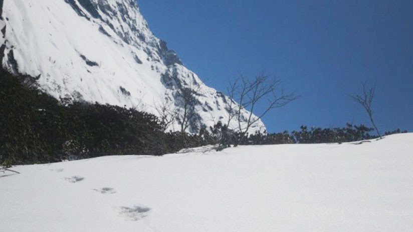 Revelan a quién podrían pertenecer las 'huellas del yeti' halladas por el Ejército indio en el Himalaya 