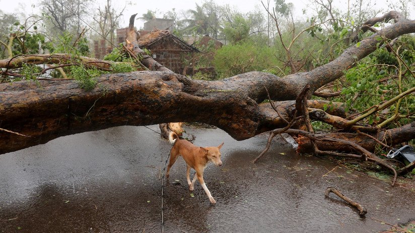 Grúa en caída libre y edificios derruidos: Graban el paso del devastador ciclón Fani por la India (VIDEOS)