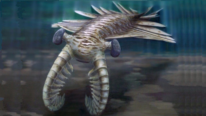 Rocas siberianas ayudan a los científicos a descubrir los secretos de la 'explosión cámbrica'