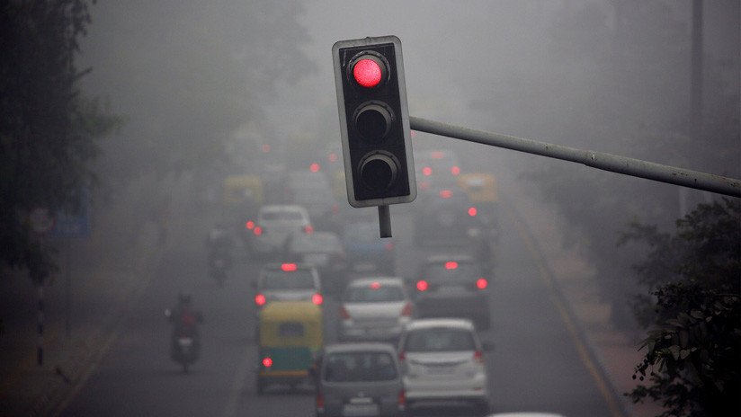 Crean un dispositivo que convierte "cada auto en un bosque" disminuyendo la contaminación (y la energía que utiliza es un misterio)
