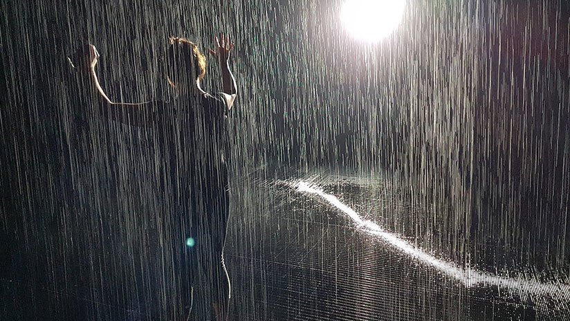 Científicos revelan la causa de la extinción masiva de las antiguas poblaciones sudamericanas 