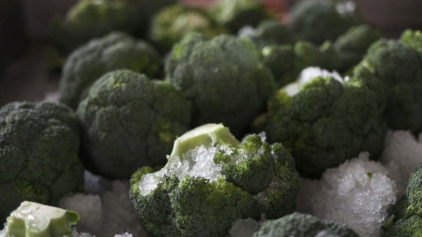 Médicos belgas alertan que la dieta vegana es peligrosa para niños y adolescentes 