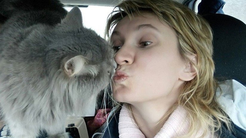 Un gato salva del coma y una posible muerte a su dueña embarazada que un día lo rescató de la vida callejera