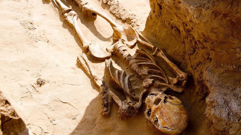 Rusia: Un granjero halla por accidente un importante entierro de la nobleza sármata (FOTOS)