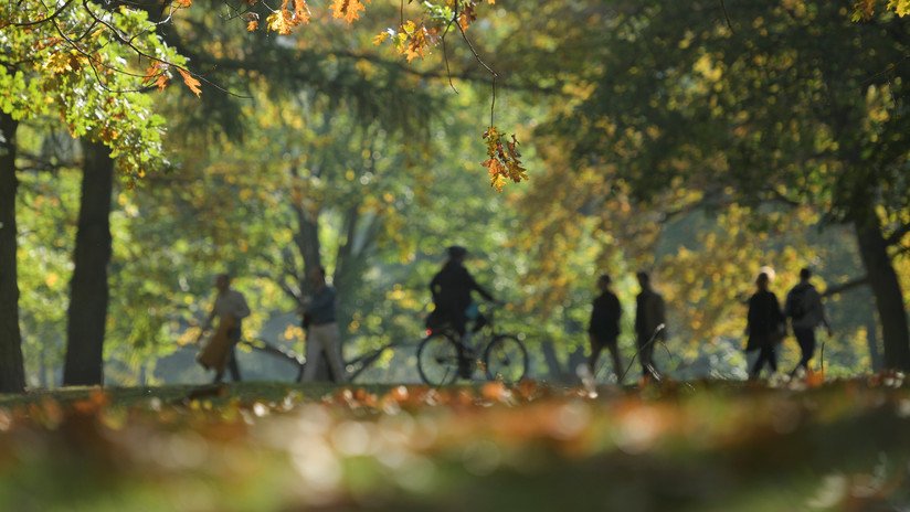 A por la longevidad a paso ligero: quienes caminan rápido viven 15-20 años más que los que andan lento