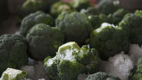 Médicos belgas alertan que la dieta vegana es peligrosa para niños y adolescentes 