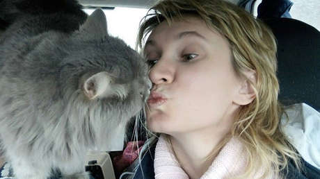 Un gato salva del coma y una posible muerte a su dueña embarazada que un día lo rescató de la vida callejera