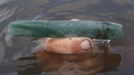 FOTOS: Un nuevo hallazgo evidencia que los plebeyos mayas tenían acceso a bienes de lujo hace 1.000 años