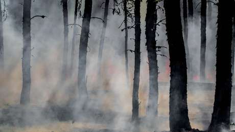 Descubren una técnica de los indígenas de Norteamérica de hace 2.000 años que cambió el ecosistema más que las causas climáticas