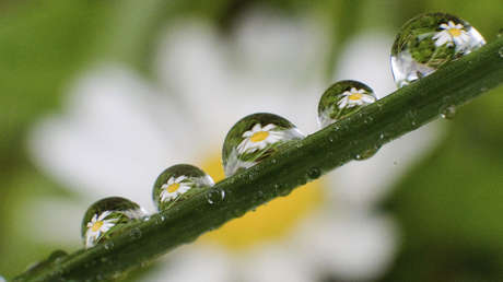 Las 24 impresionantes imágenes de esta semana que se quedarán en la memoria