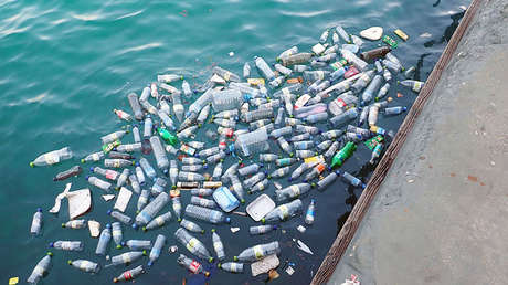 La transmisión en vivo más larga: durará 450 años, lo que tarda en descomponerse una botella de plástico