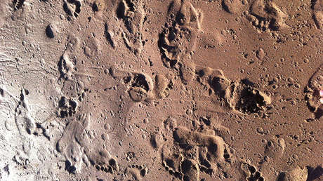 Huellas de 14.000 años en una cueva de Italia arrojan luz sobre la conducta social de los antiguos humanos