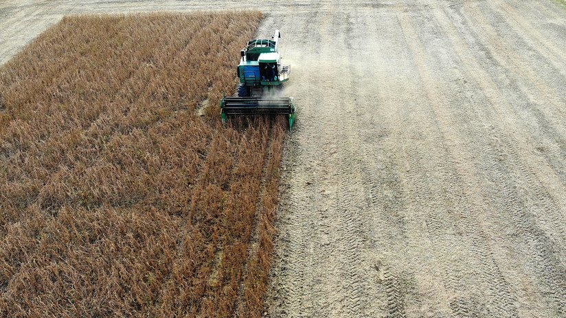 Trump: "México ha accedido a comprar grandes cantidades de productos agrícolas de nuestros geniales agricultores patriotas"
