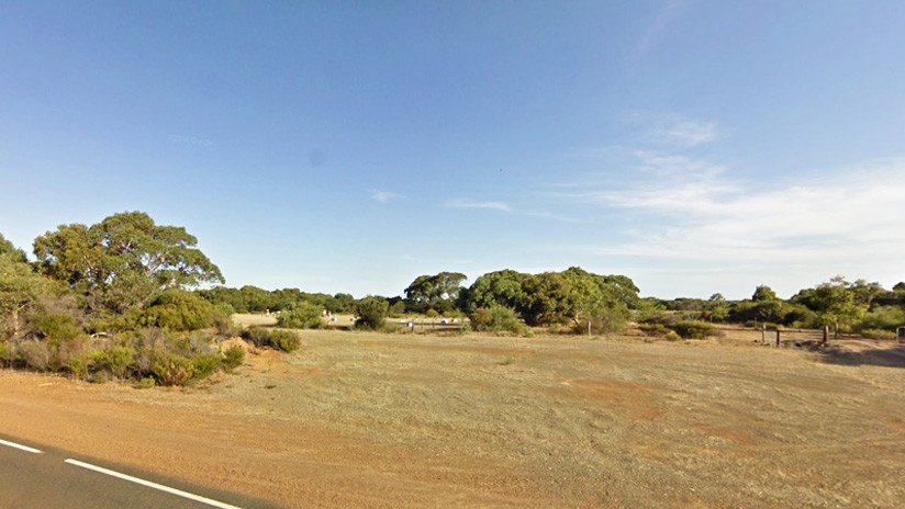 'Redlichia rex': Hallan un nuevo 'rey' de fósiles y probable "terror de criaturas marinas" en el Cámbrico