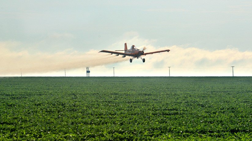 "Nos estamos muriendo todos": La razón de los casos de cáncer que proliferan en un 'núcleo sojero' de Argentina