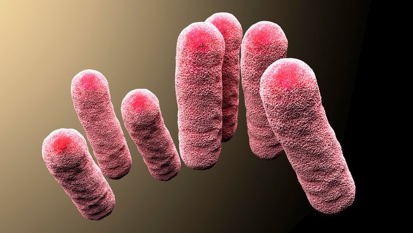 Hallan en esponjas de cocina un posible remedio contra bacterias resistentes a los antibióticos