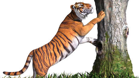 VIDEOS: Google lanza una herramienta que permite ver las búsquedas en realidad aumentada