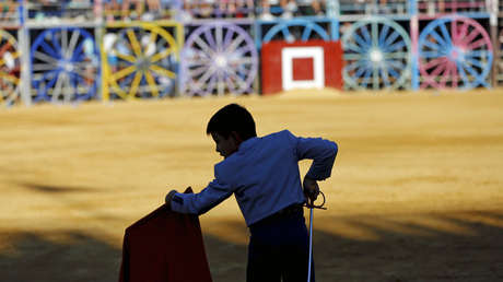 VIDEO: Denuncian la participación de niños en corridas de toros en España donde cortan orejas a becerros vivos