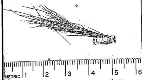 El FBI revela que examinó pruebas del supuesto pelo de un yeti y desclasifica los resultados