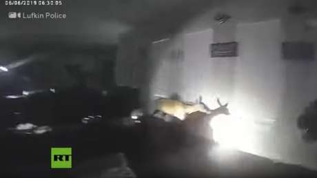 VIDEO: La Policía de Texas responde a una llamada por asalto y se enfrenta con un inesperado y 'salvaje' sospechoso