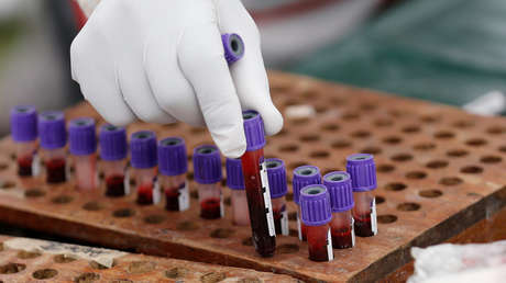 El intestino humano esconde la clave para convertir tipos de sangre A y B en donante universal 