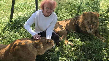 VIDEO: Dos leones de Crimea se dejan acariciar por una turista como si fueran gatitos 