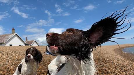 La vuelta al mundo en 12 fotografías: Las imágenes más pintorescas que nos dejó la semana