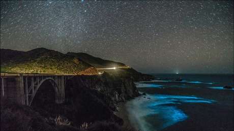 VIDEO: Espectaculares 'lagrimas azules' cubren los mares de China (y pueden ser mortales)