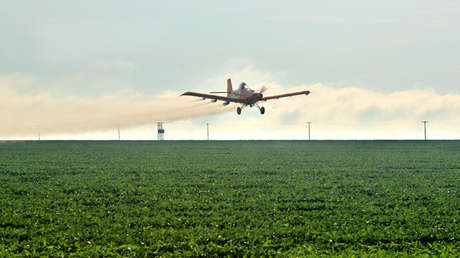 "Nos estamos muriendo todos": La razón de los casos de cáncer que proliferan en un 'núcleo sojero' de Argentina