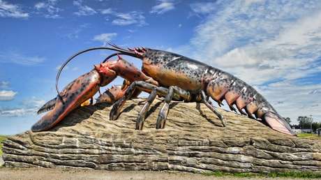 FOTOS, VIDEO: Restaurante de EE.UU. recibe una langosta azul extremadamente rara