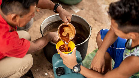 La "nueva colonización" que pone en peligro la práctica ancestral de la ayahuasca en Perú
