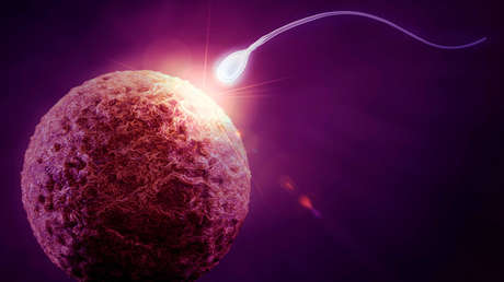 Científicos de España confirman que el semen congelado permitiría reproducir humanos fuera de la Tierra