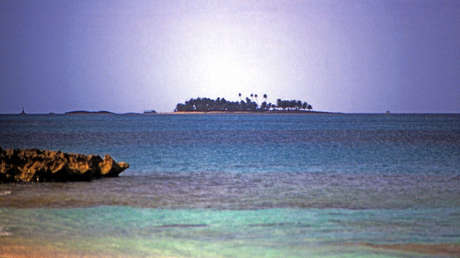 Intenta salvar a su hija del acoso de tres tiburones pero solo consigue recuperar parte de su cuerpo