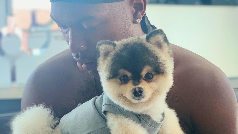 "Lo quiero de vuelta": Un exfutbolista del Liverpool ofrece más de 37.000 dólares para recuperar a su perro