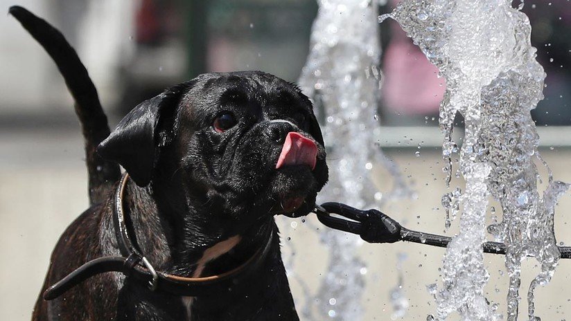 FOTOS: Europa se asfixia bajo una ola de calor extremo