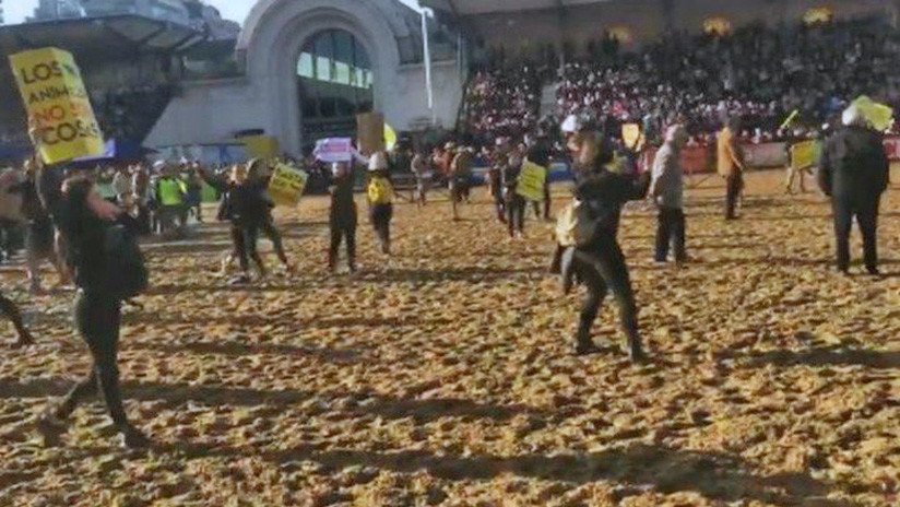 VIDEOS: Veganos invadieron una exposición animal y fueron echados a latigazos en Buenos Aires