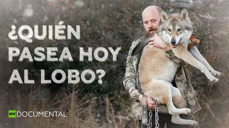 ¿Quién pasea hoy al lobo?
