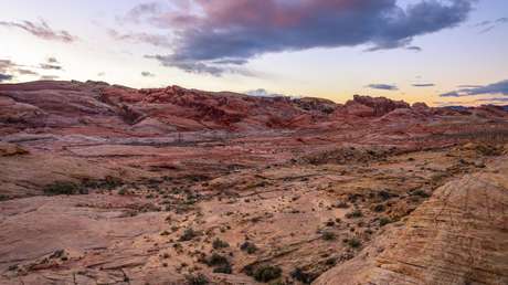 VIDEO: Captan desde el interior de la cabina de una avioneta el momento del aterrizaje de emergencia en un área remota del desierto de Mojave
